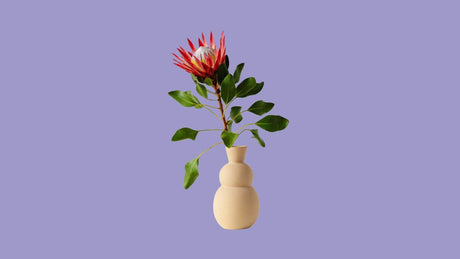 Vases & Pots - Trending Curations