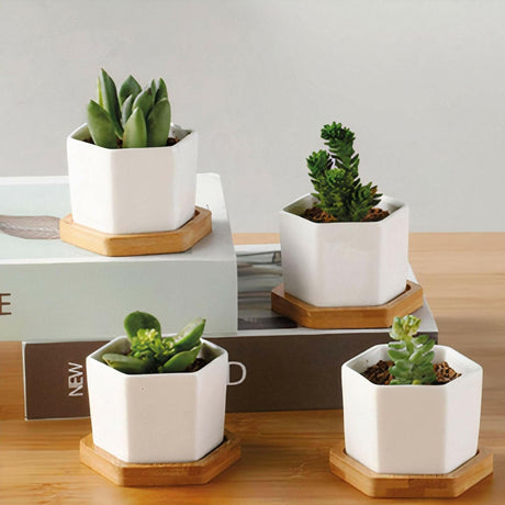 Small Hexagonal Ceramic Succulent Planters with Bamboo Tray (Set of 3)