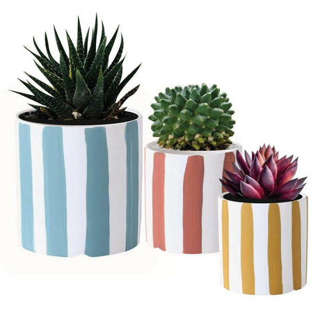Vibrant Trio of Ceramic Planters with Bamboo Tray